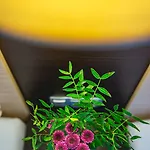 Hotell Casino & Admiral Ptuj