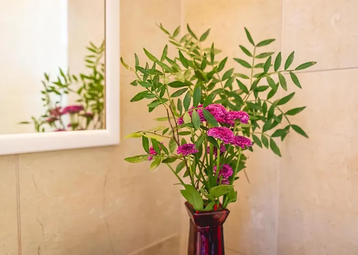 Casino & Hotel Admiral Ptuj 3*