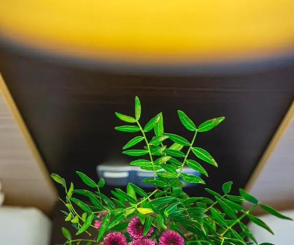 Casino & Admiral Hotel