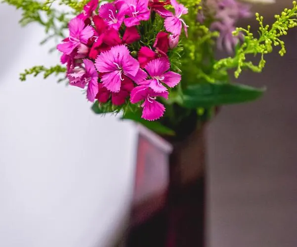 Hotel Casino & Admiral