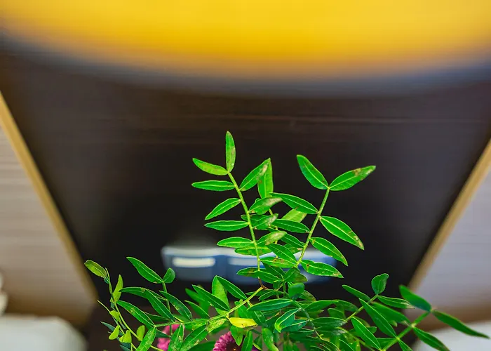 Hotel Casino & Admiral Ptuj